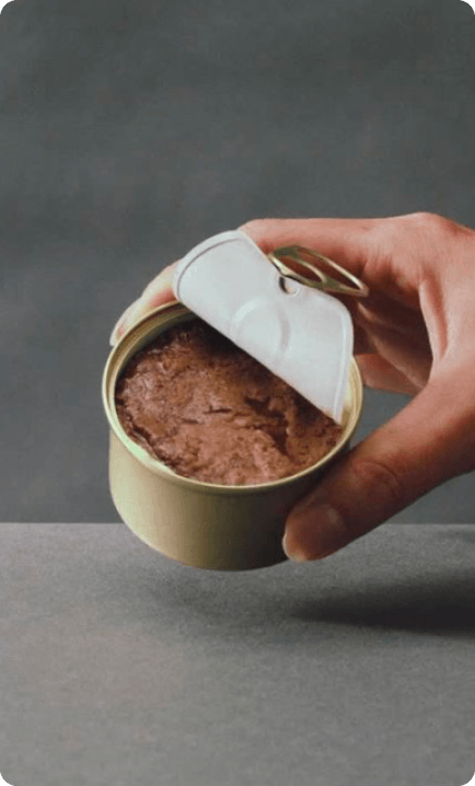 Close-up of a hand holding an open tin of other cat food