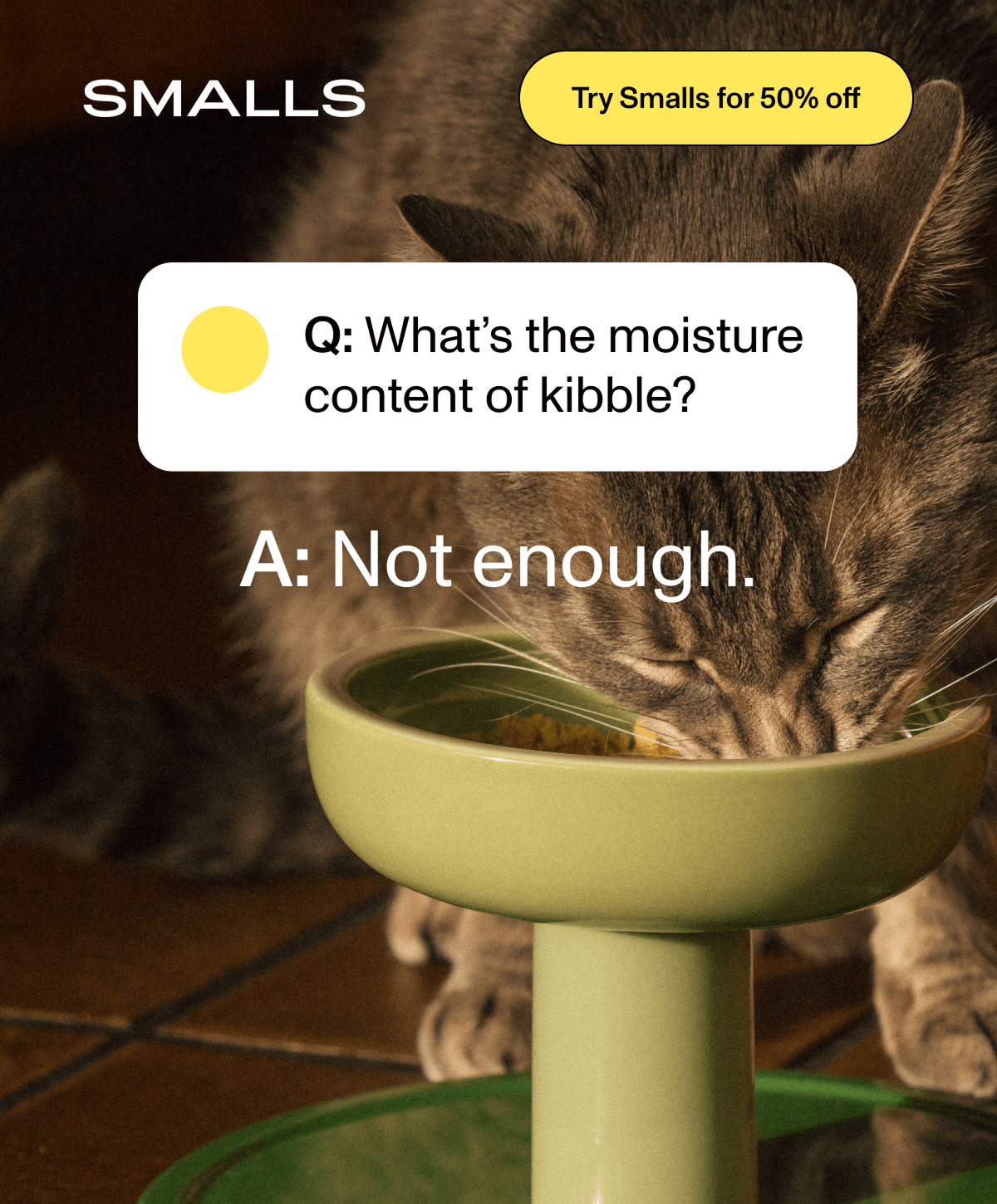 Smalls: Q: What's the moisture content of kibble? A: Not enough. - tabby cat eating from a green bowl, with a 50% off badge