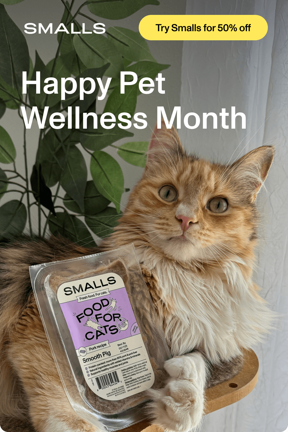 Smalls: 'Happy Pet Wellness Month' headline over a photo of a long-haired orange and white cat resting on a cat tree, holding a pack of Smalls 'Smooth Pig' pork recipe between its paws. A yellow button reads 'Try Smalls for 50% off'.