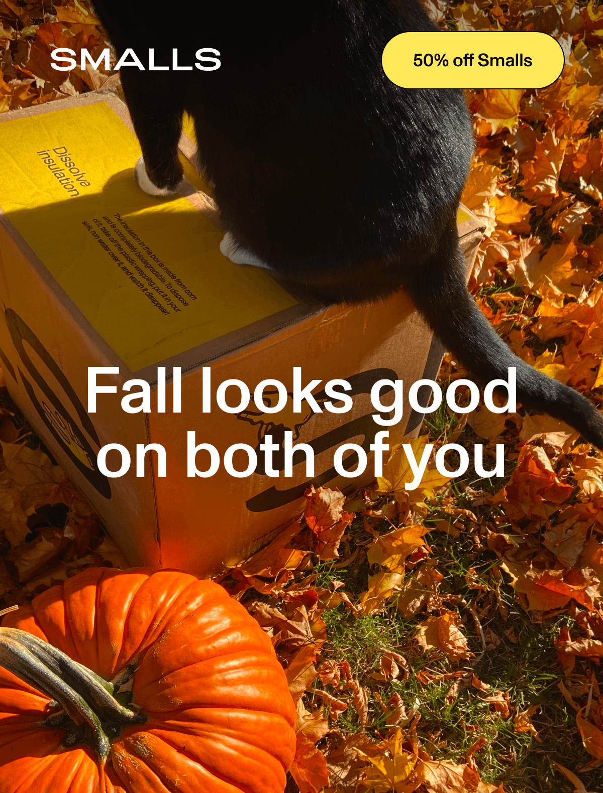 Smalls: A black cat with white paws perches on a Smalls delivery box surrounded by golden fall leaves and a bright orange pumpkin, with the headline 'Fall looks good on both of you' and a 50% off offer.