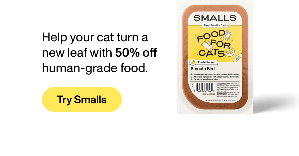 Help your cat turn a new leaf with 50% off human-grade food. Try Smalls.
