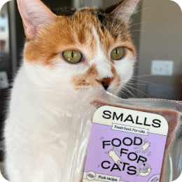 Calico cat next to a Smalls food pouch