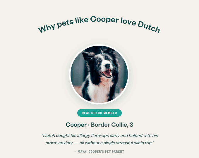 Why pets like Cooper love Dutch — Cooper, a Border Collie and real Dutch member. His pet parent Maya says Dutch caught his allergy flare-ups early and helped with his storm anxiety, all without a stressful clinic trip.