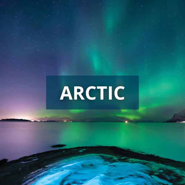 Arctic