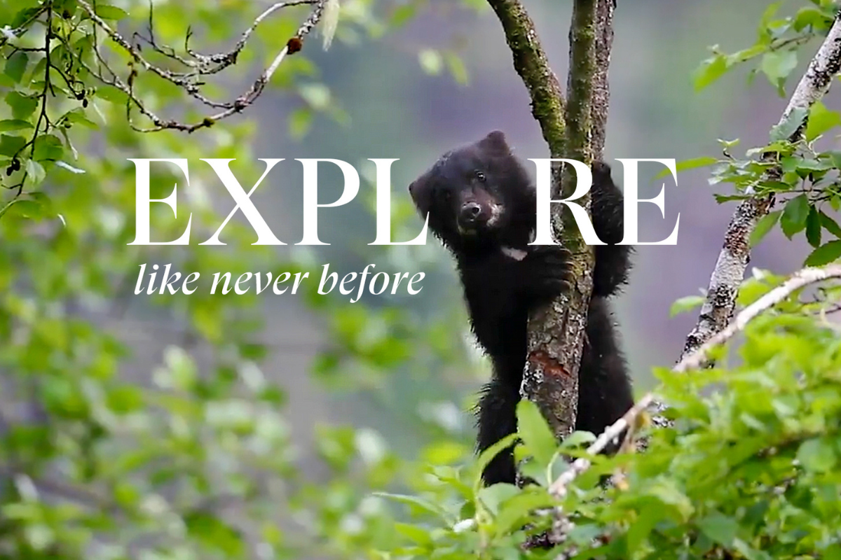 Explore Like Never Before