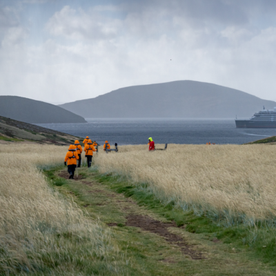 15-Day Wild South Atlantic & Falkland Islands