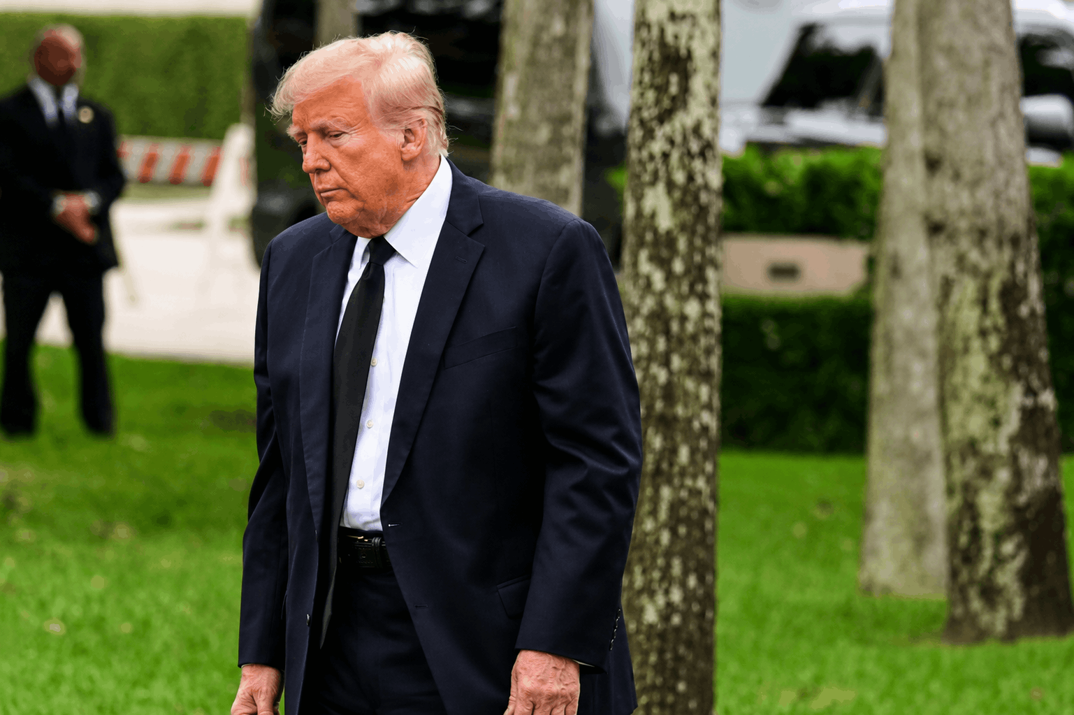Trump Image