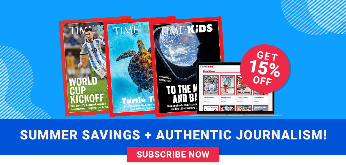 Summer Sale Special Offer