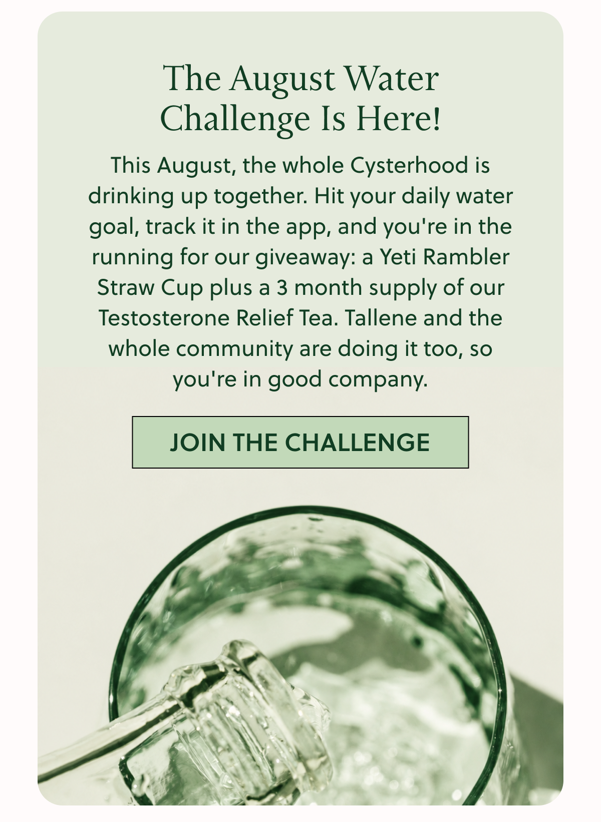 The August Water Challenge Is Here! This August, the whole Cysterhood is drinking up together. Hit your daily water goal, track it in the app, and you're in the running for our giveaway: a Yeti Rambler Straw Cup plus a 3 month supply of our Testosterone Relief Tea. Tallene and the whole community are doing it too, so you're in good company. JOIN THE CHALLENGE