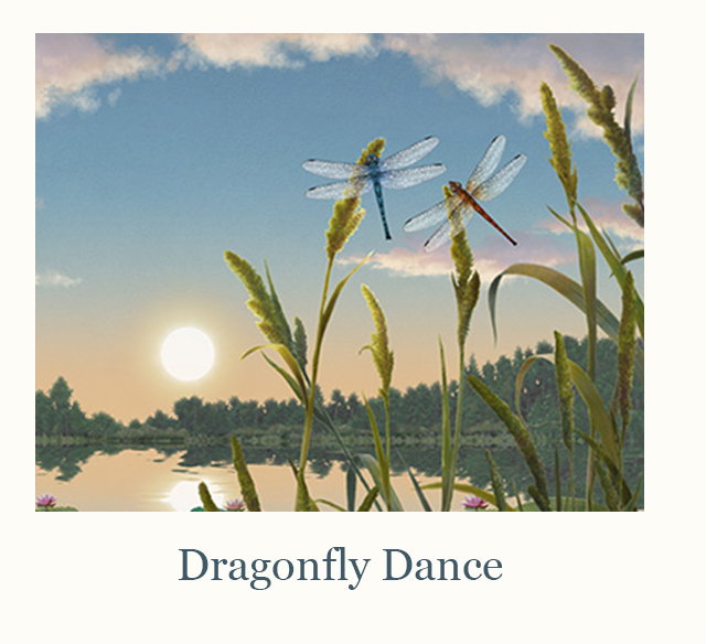 Dragnonfly Dance