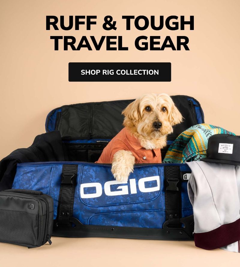 dog in rig st travel bag