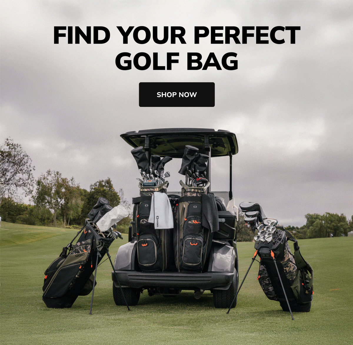 Find Your Perfect Golf Bag