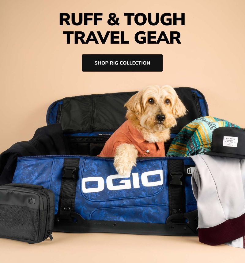 dog in a rig st bag