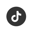 TikTok Logo