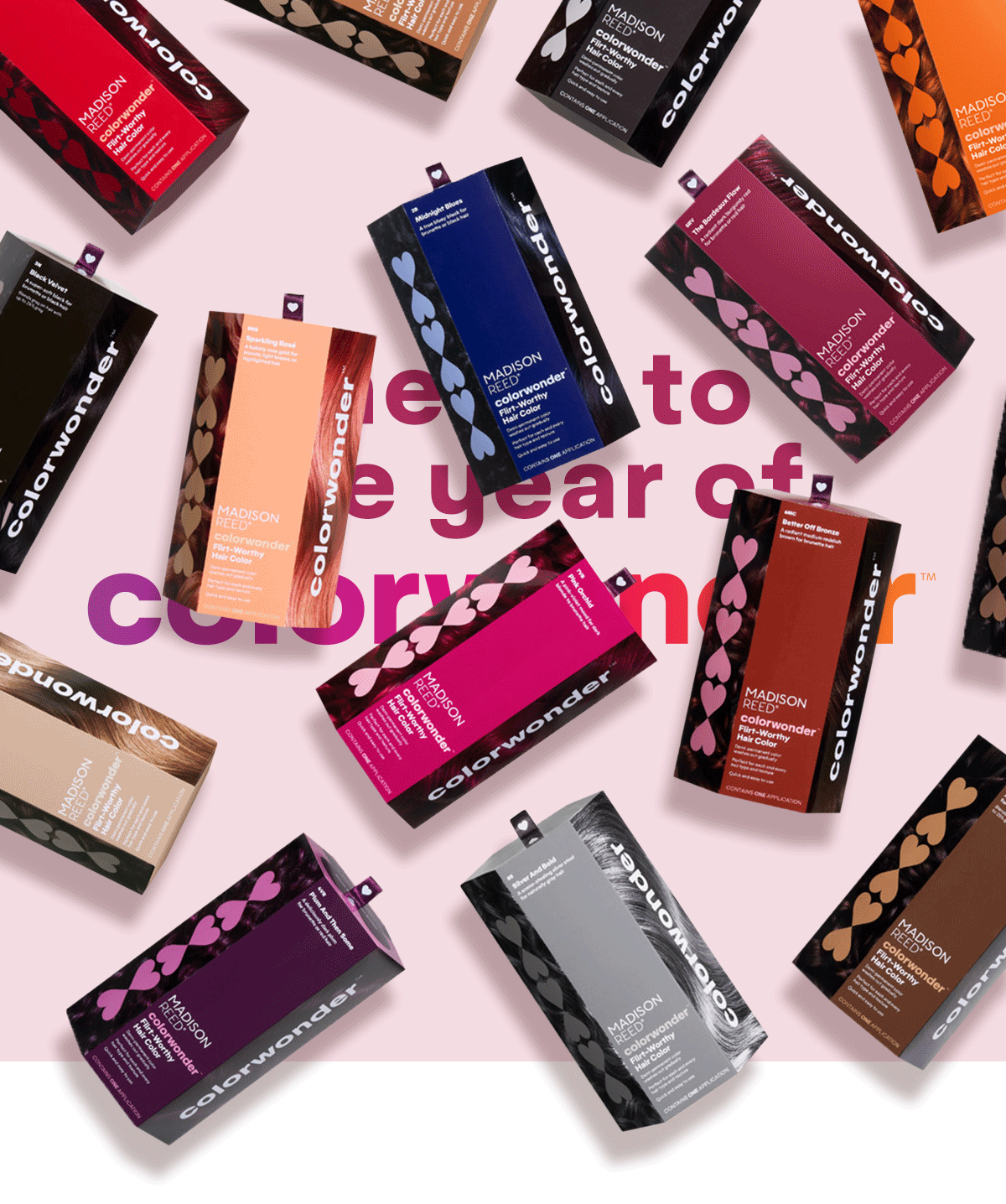 Cheers to one year of colorwonder