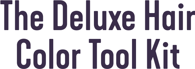 The Deluxe Hair Color Tool Kit