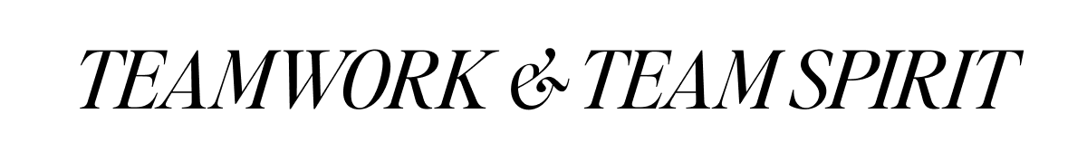 TEAMWORK & TEAM SPIRIT