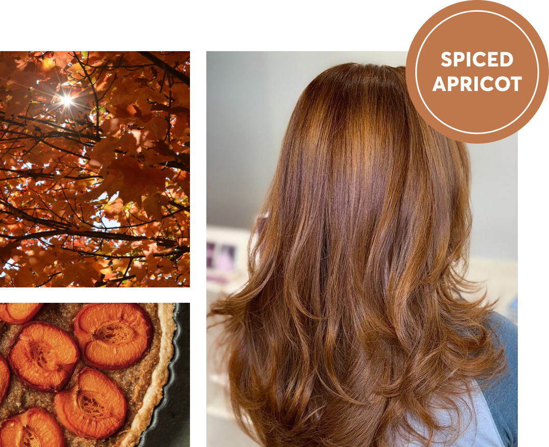 Spiced Apricot
