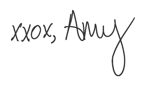 xxox, Amy