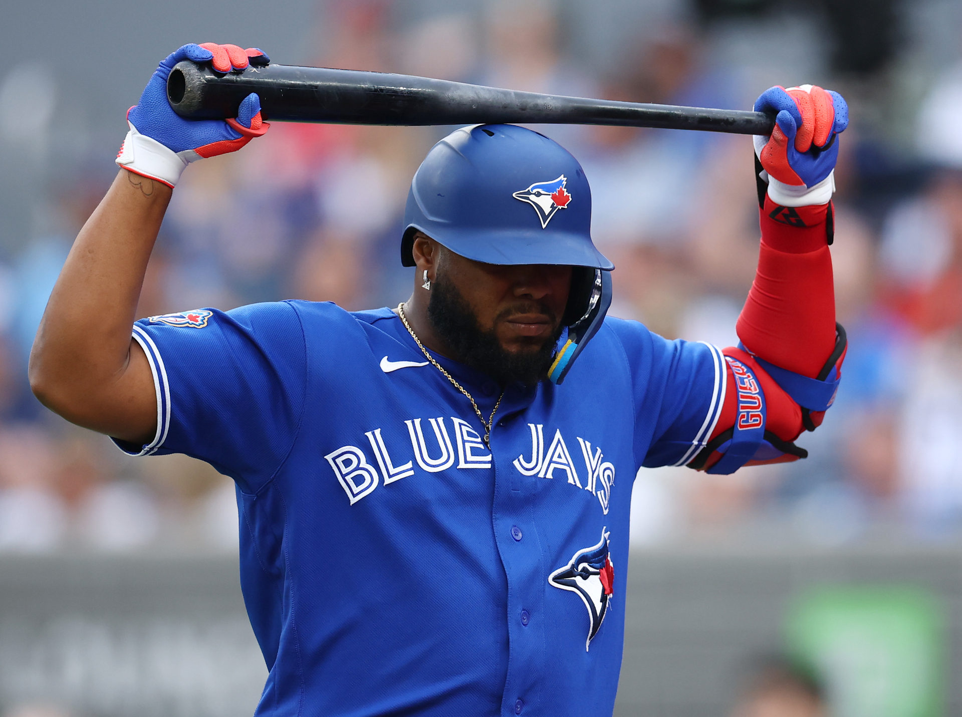 Vladimir Guerrero Jr.