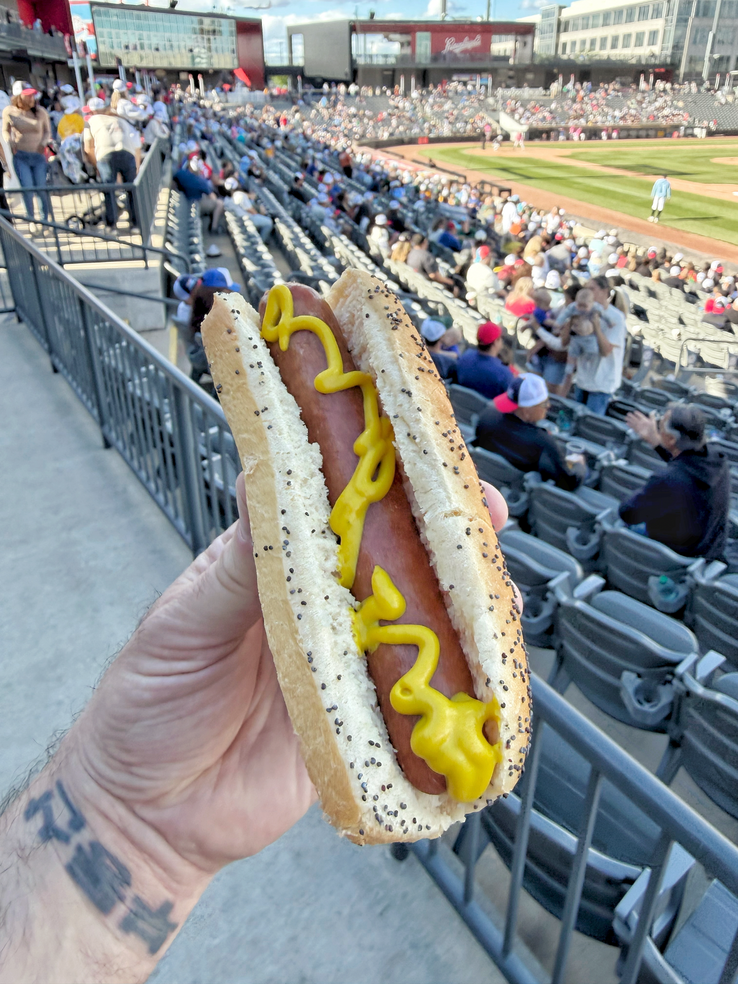 Chicago Dogs' hot dog