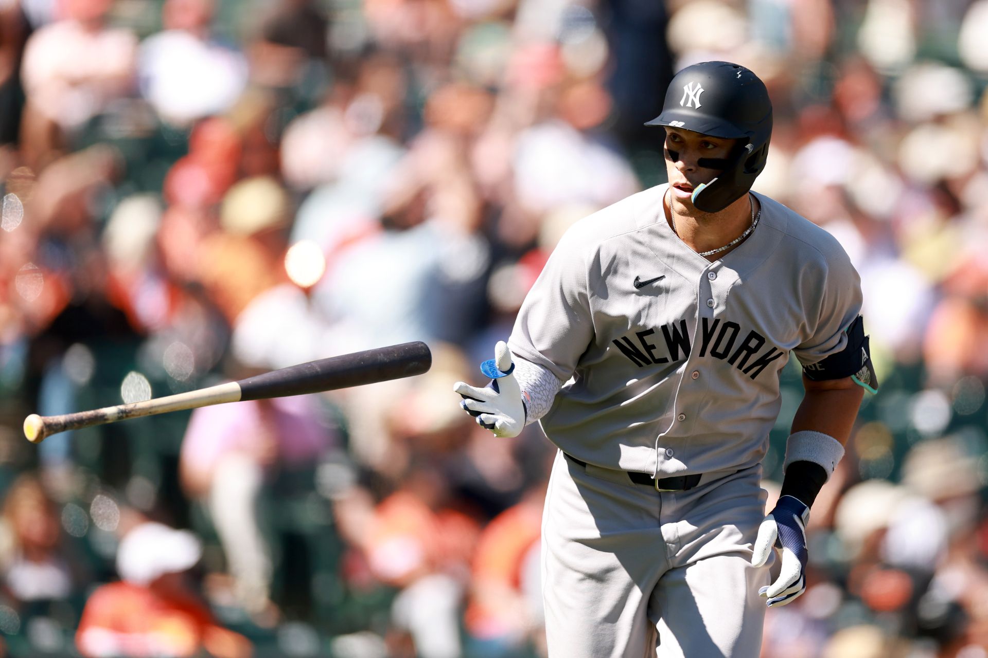 Aaron Judge