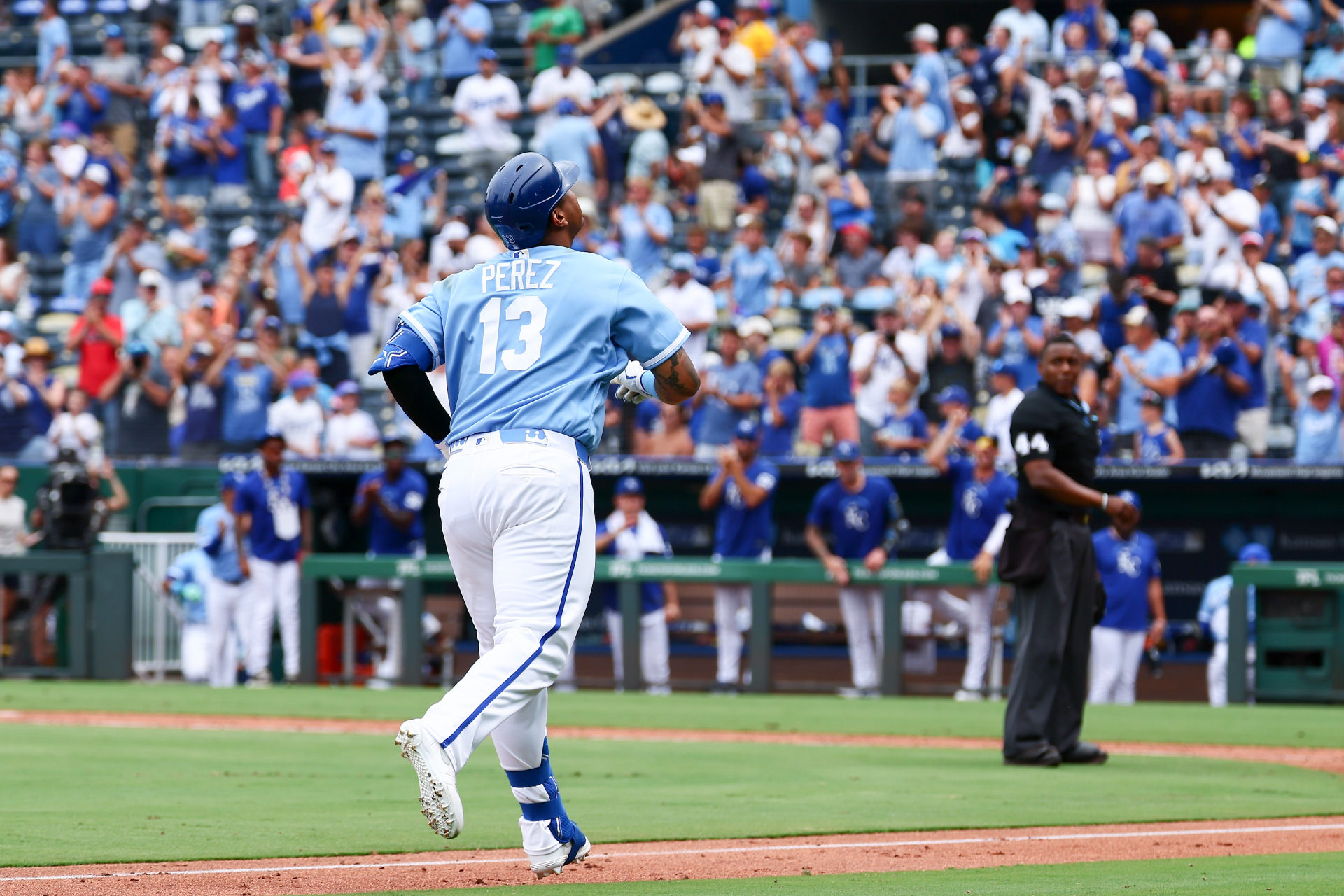 Salvador Perez