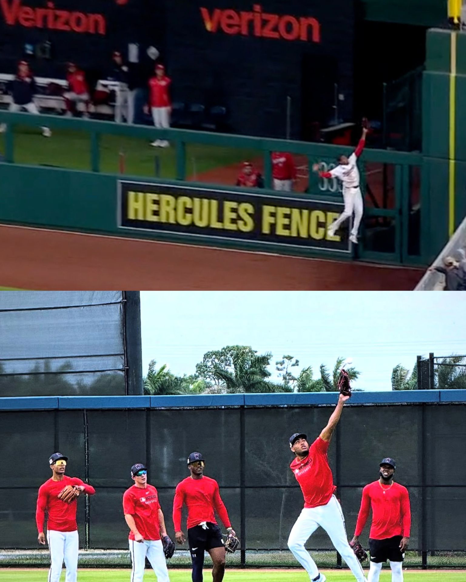 James Wood's robbery of a home run