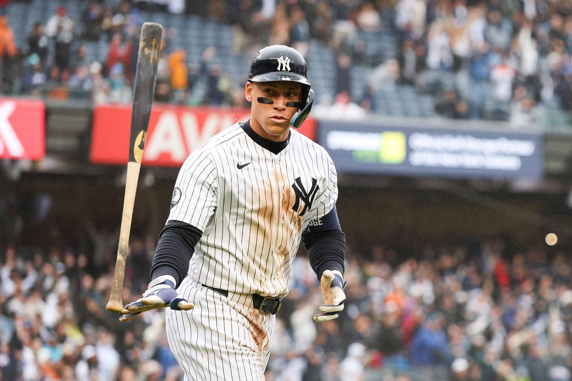 Aaron Judge