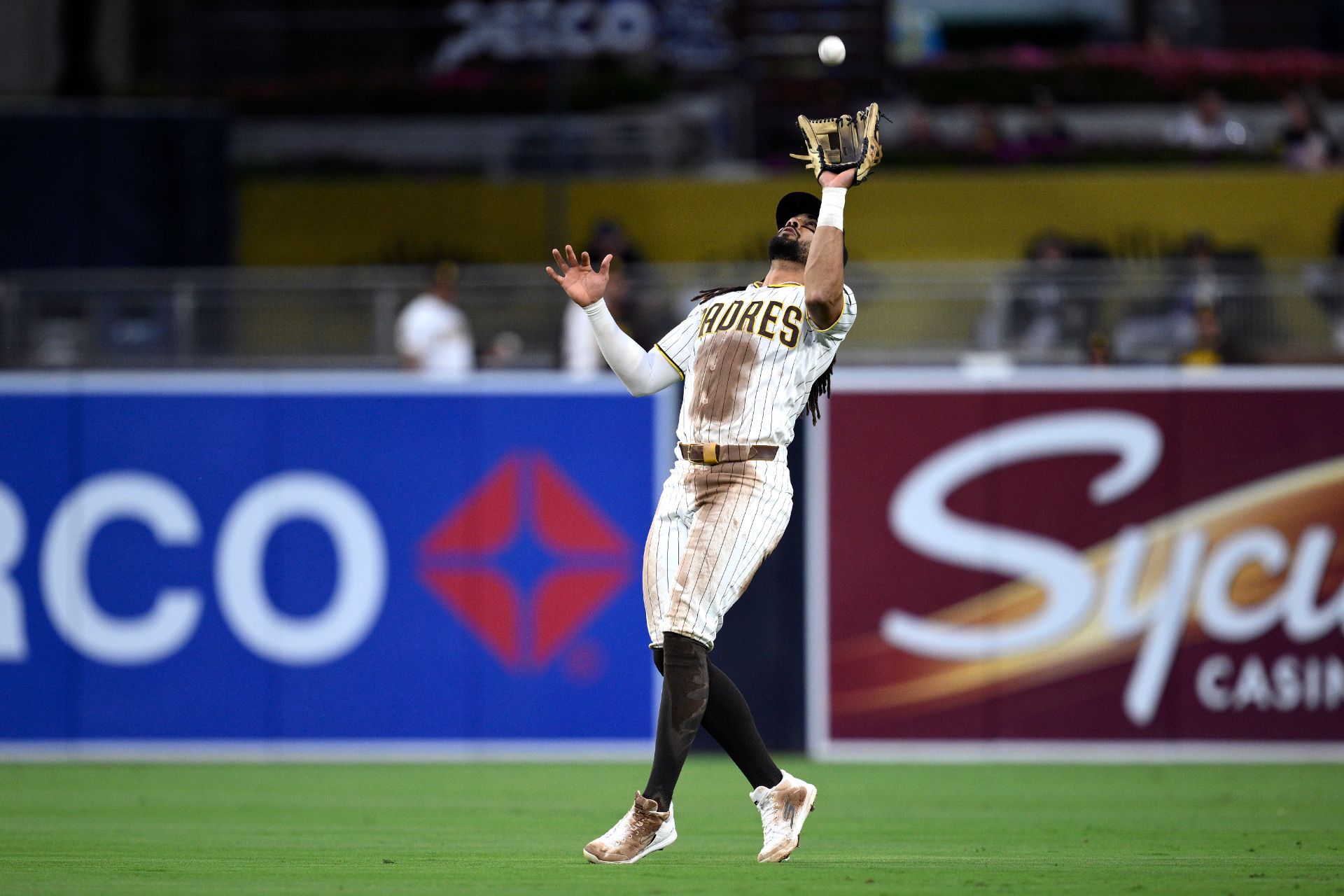 Fernando Tatis Jr.