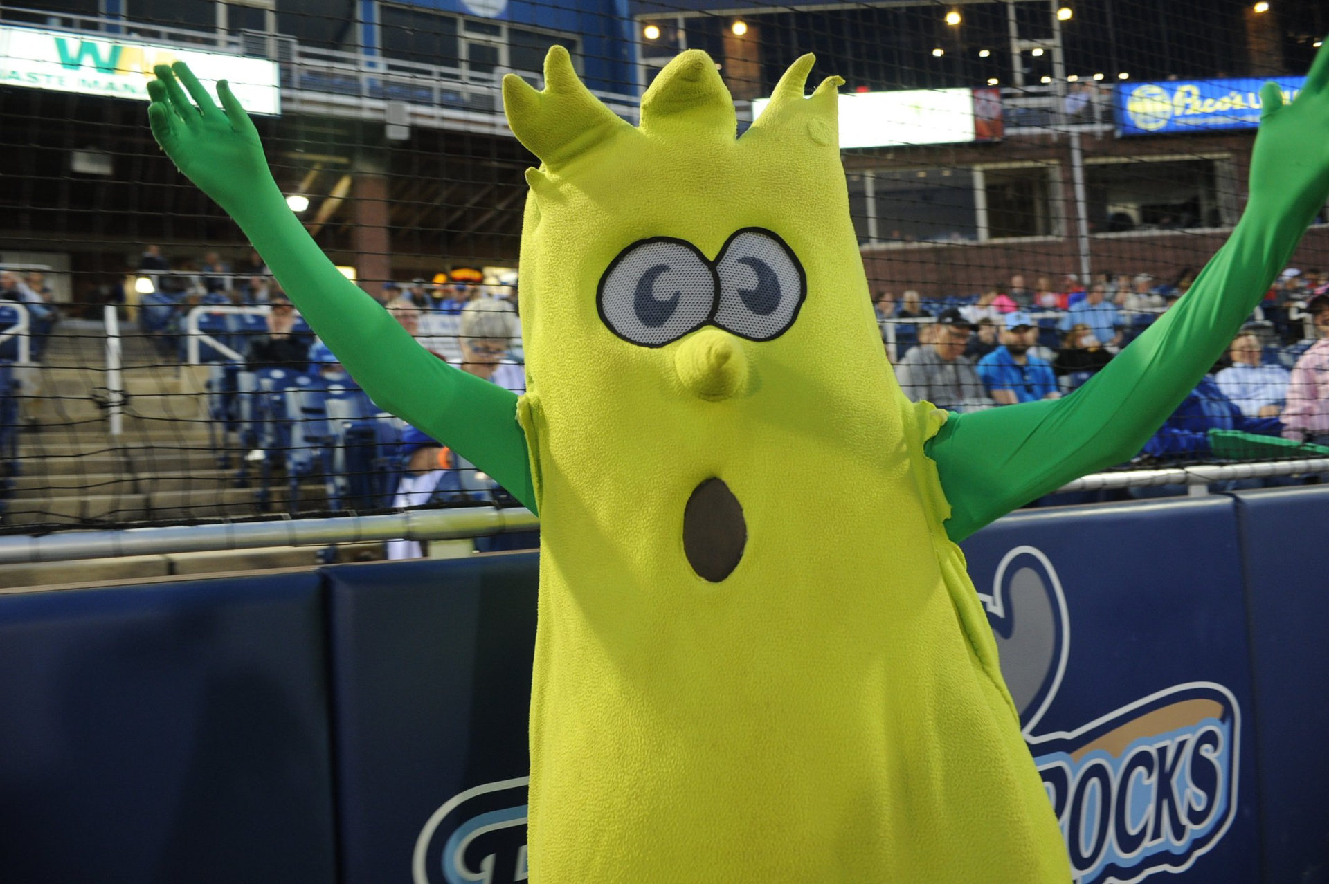 Mr. Celery