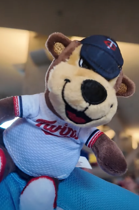 Twins teddy bear