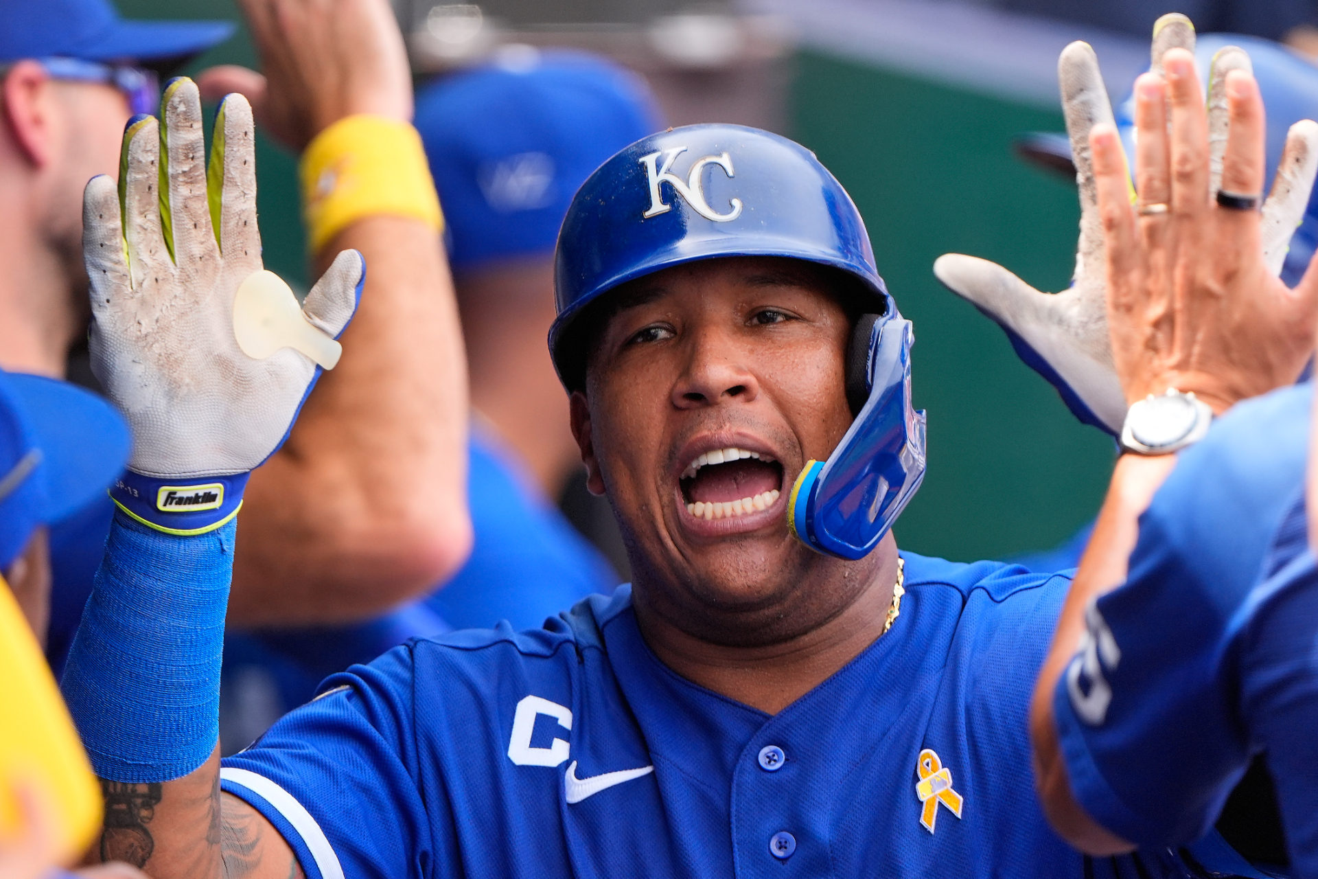 Salvador Perez