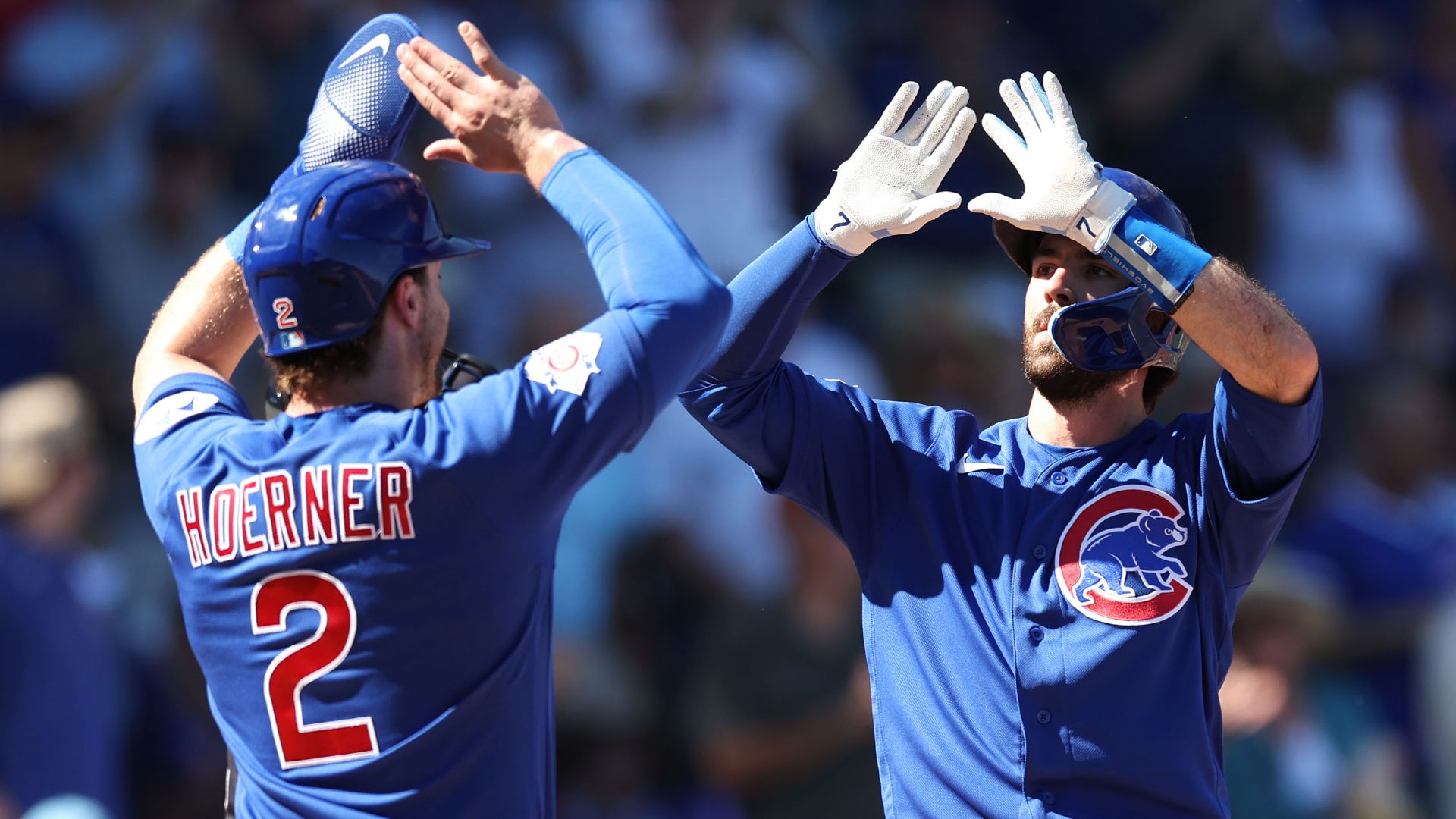 Nico Hoerner, Dansby Swanson