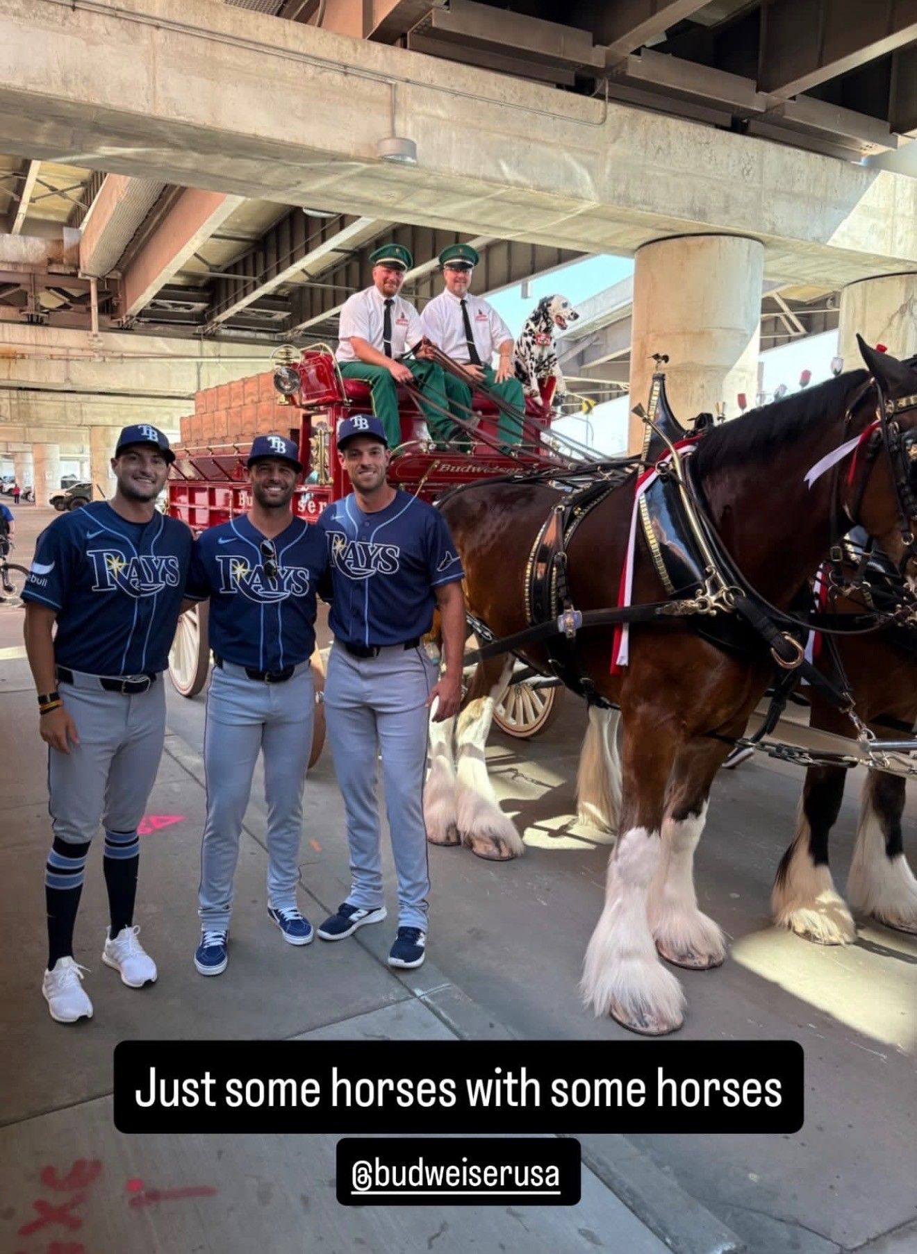Shane McClanahan, Steven Matz, Nick Martinez at Busch Stadium