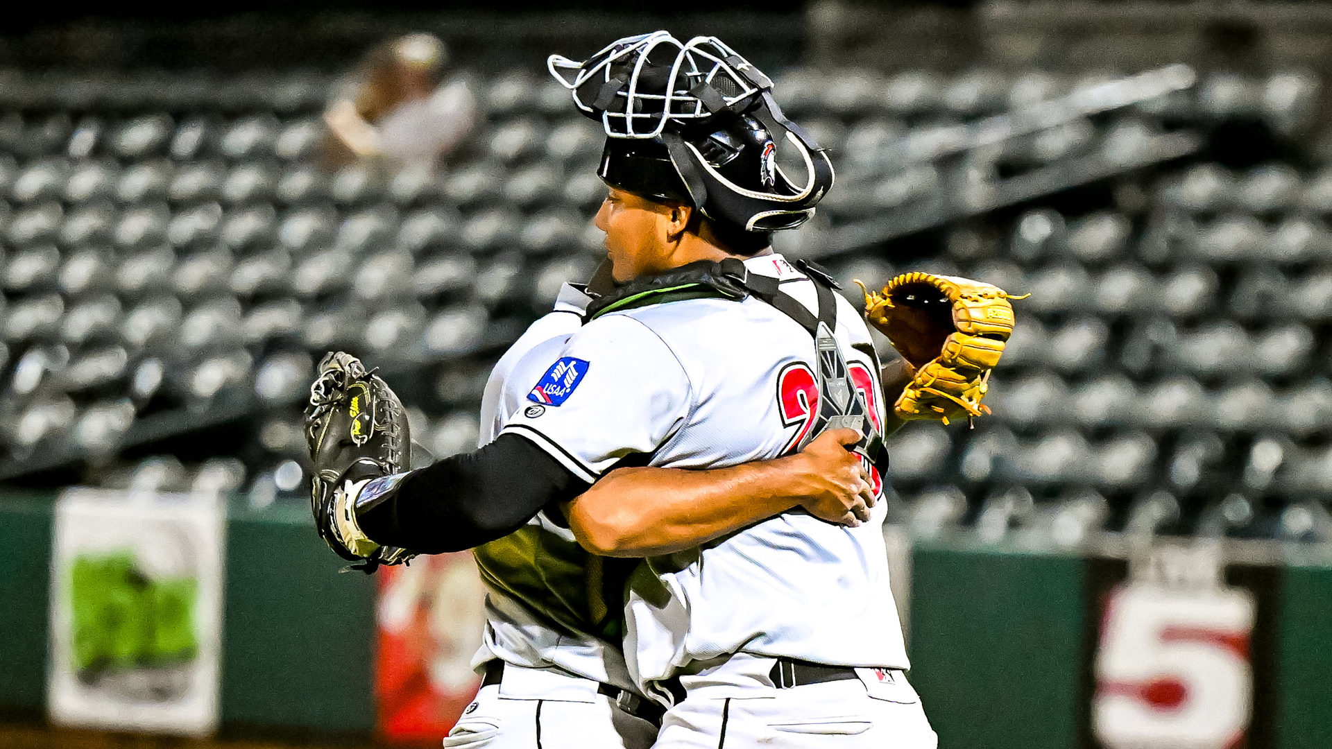 Fayetteville Woodpeckers