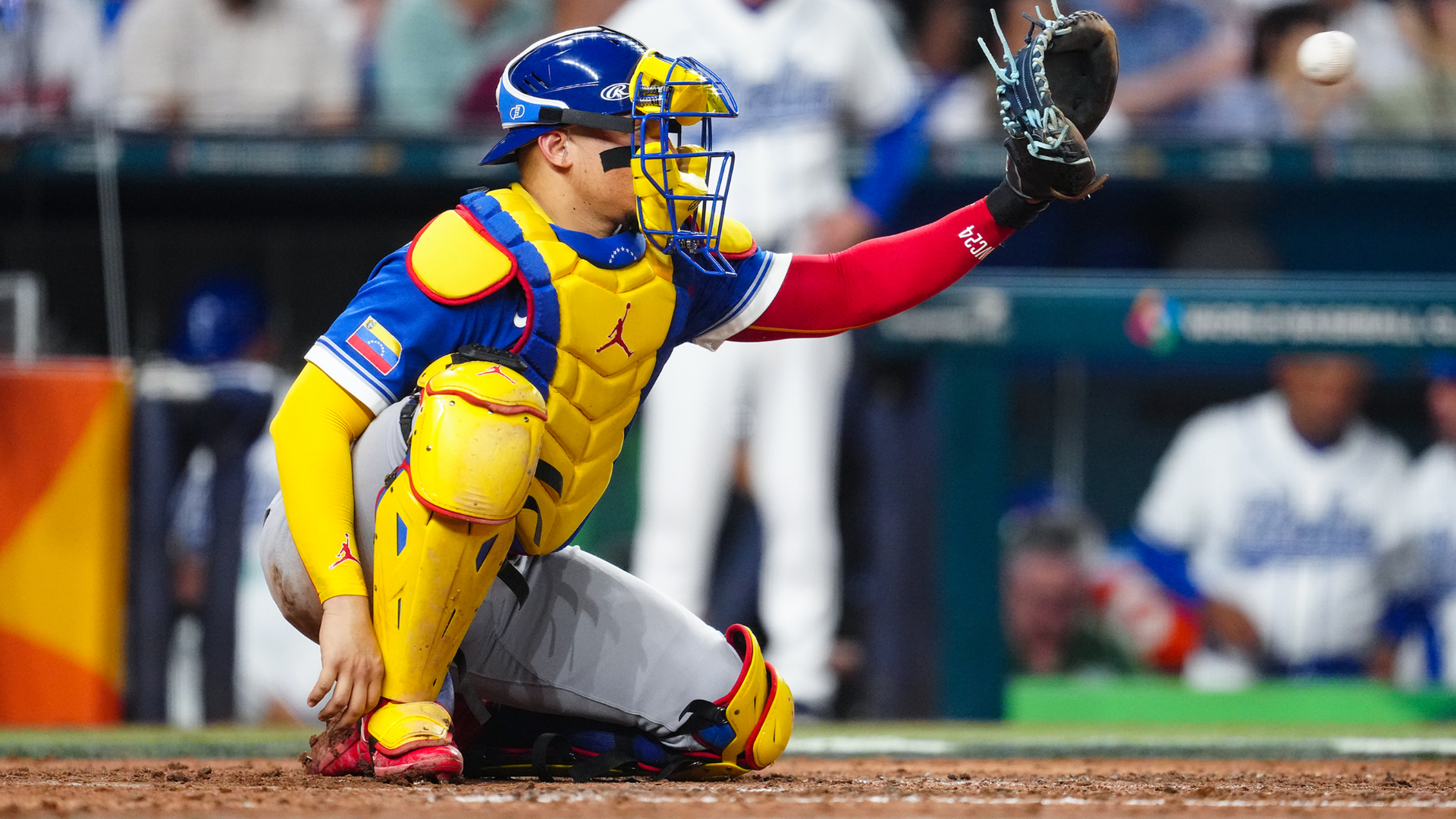 William Contreras
