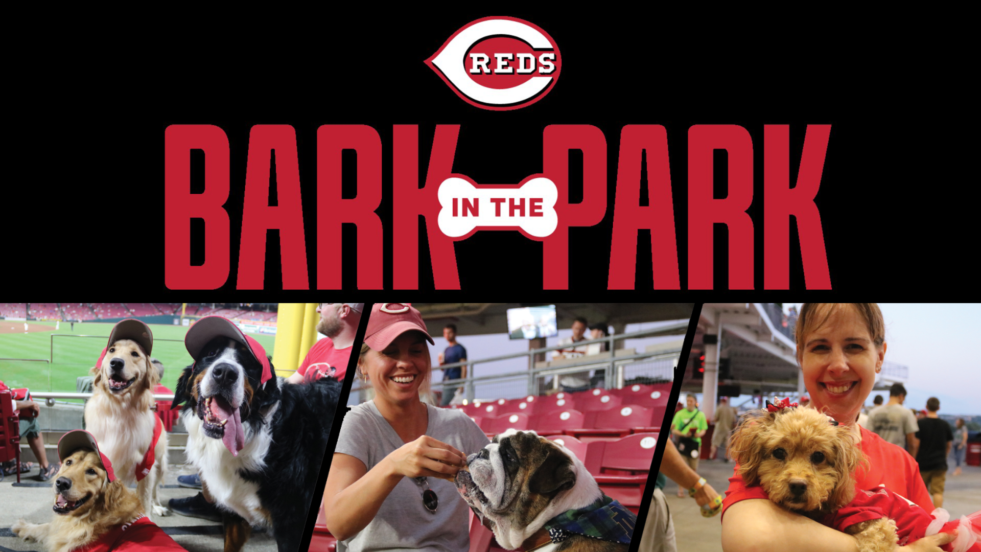Bark in the Park