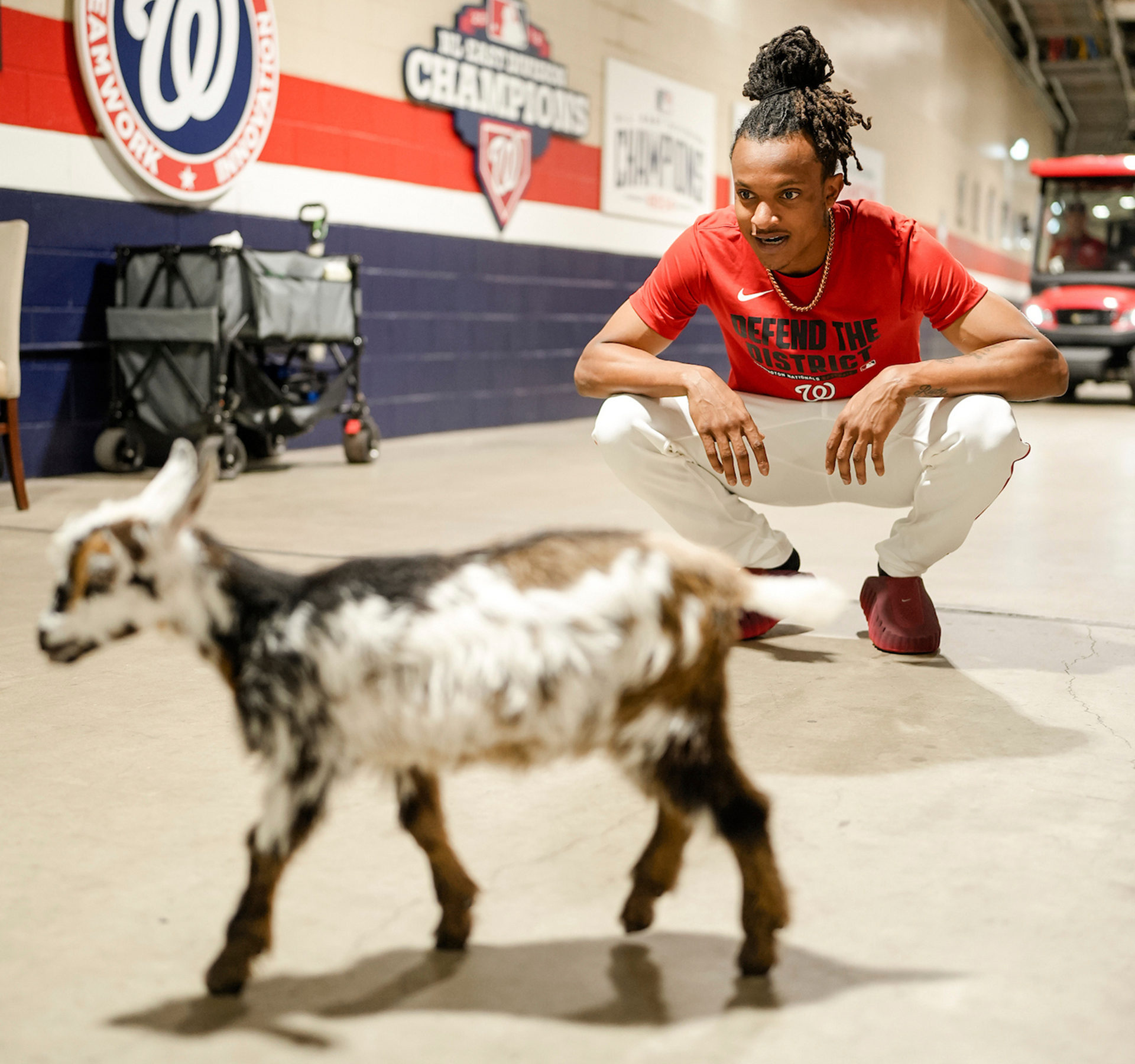 CJ Abrams, Poppi the goat