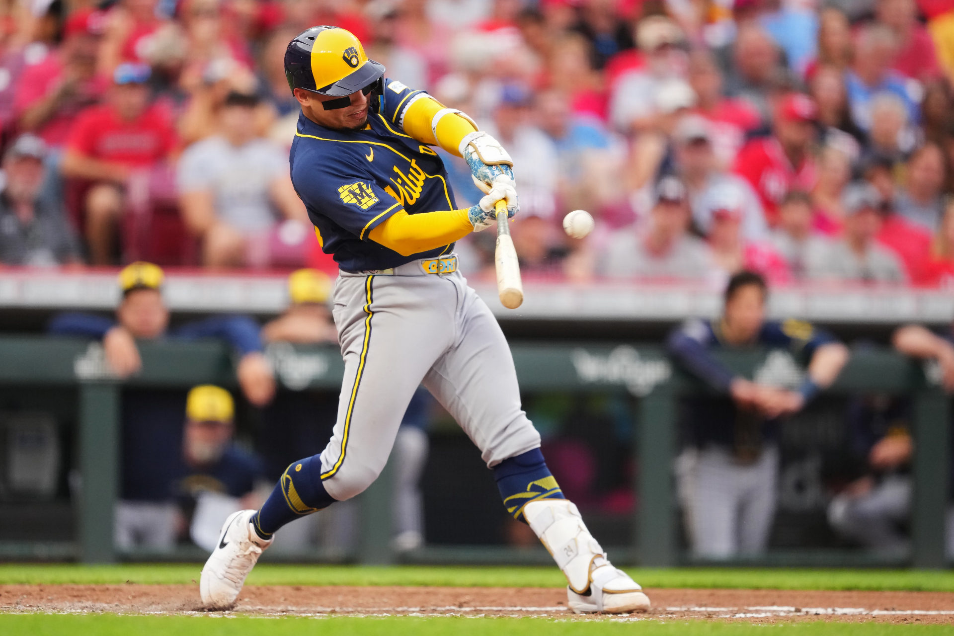 William Contreras