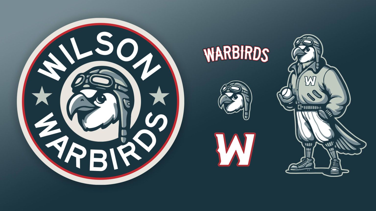 Wilson Warbirds