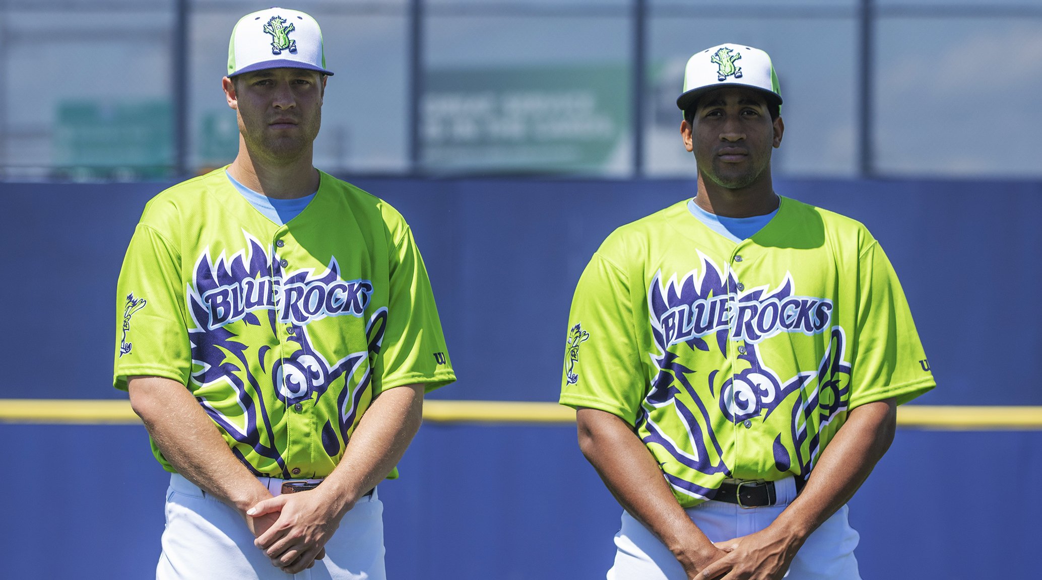 Celery Jerseys