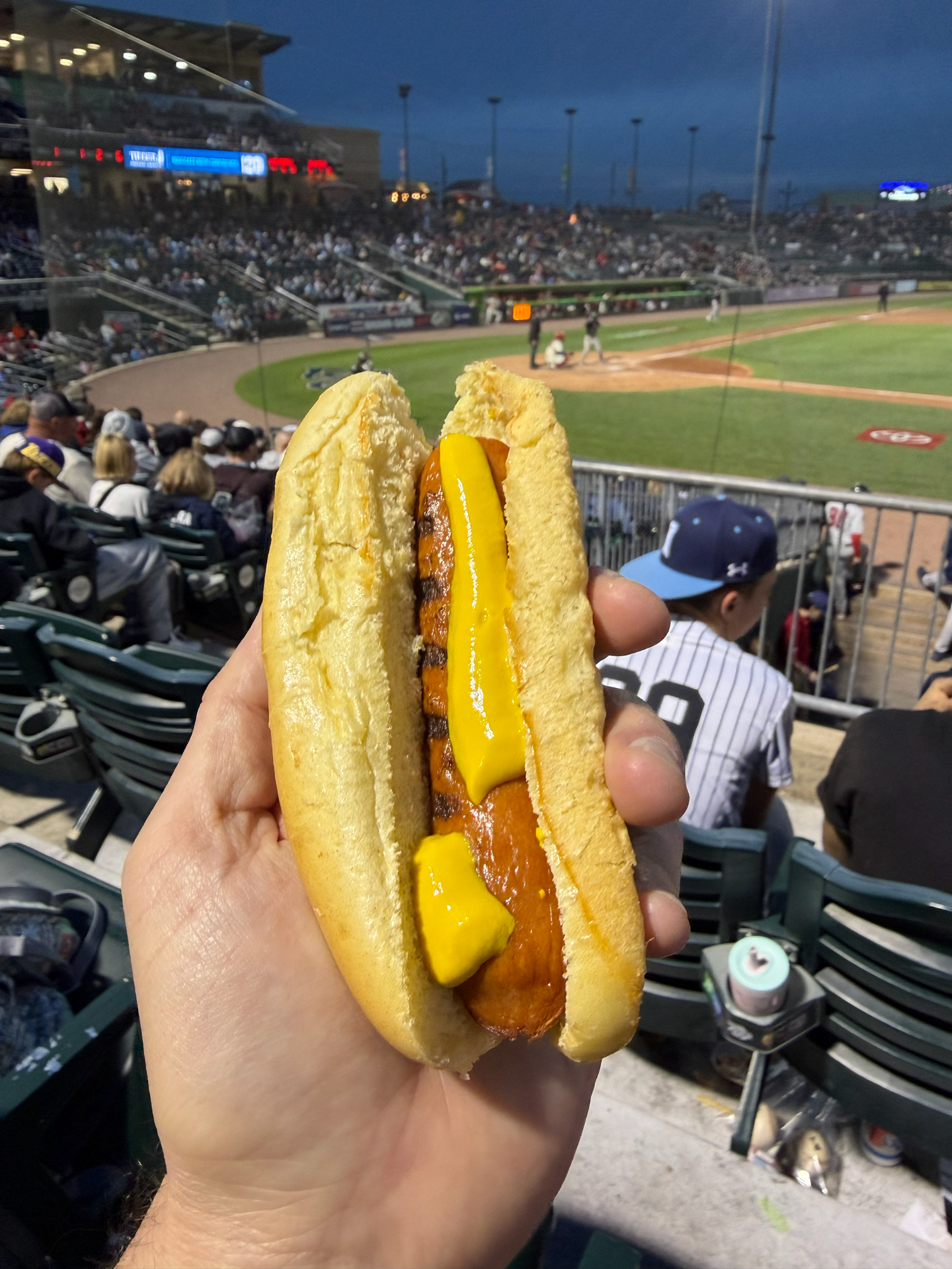 The IronPigs' dog