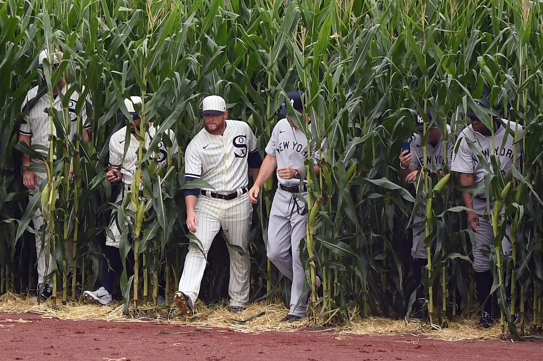 White Sox and Yankees at 2021 Field of Dreams game