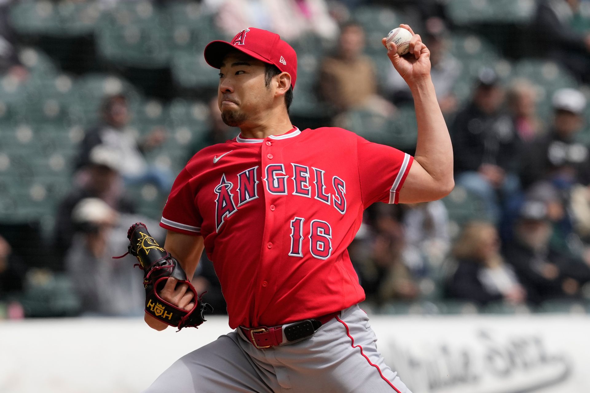 Yusei Kikuchi