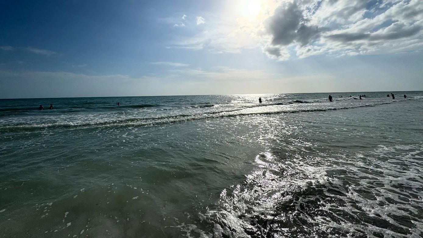 On the beach in Sarasota